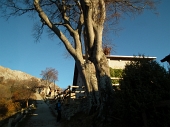 03 Al Rifugio Pialeral 